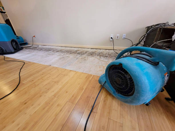 Professional Water Damage Repair technician working in Baden, PA